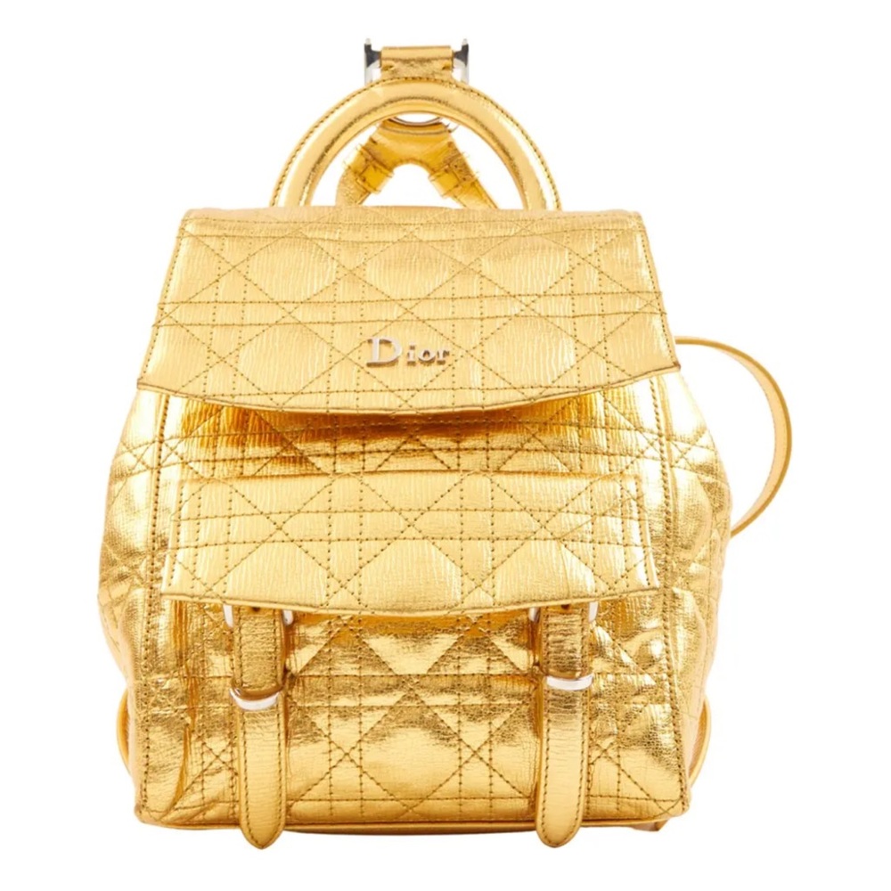 Dior backpack